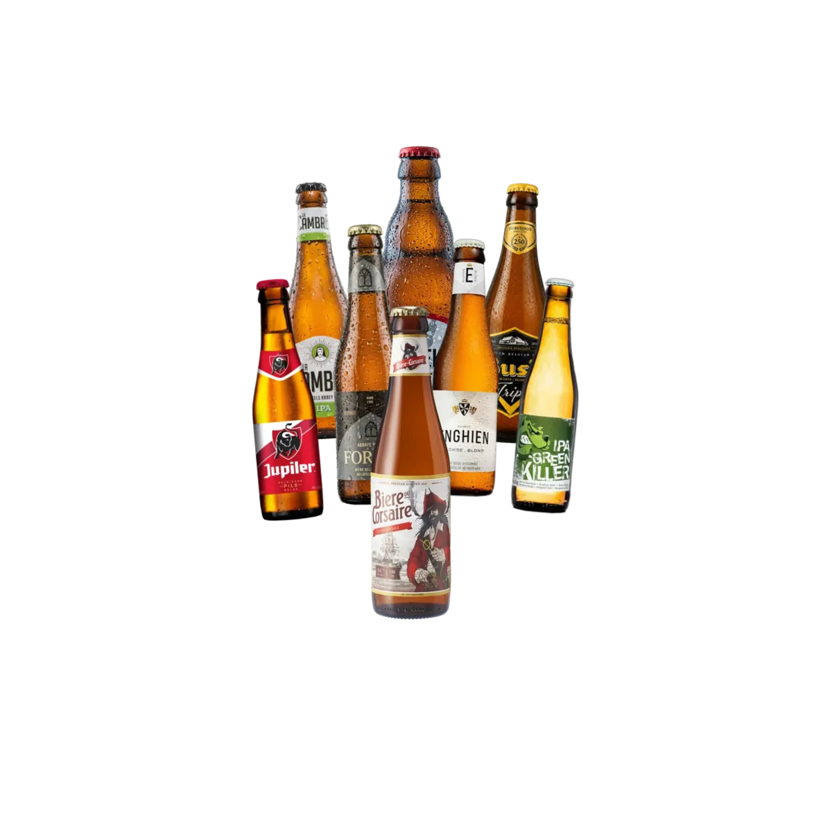 Selectie Blonda Belgia 8